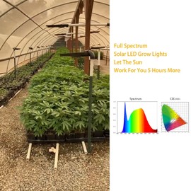 BSOD Solar Grow Lights for Outdoor Plants, Cordless Full Spectrum Growing Led Greenhouse Lamp with Timer Auto Remote Wireless Waterproof,2in1 Motion Sensor Street & Plant Light
