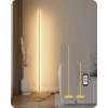 DEWENWILS EDISHINE LED Standing Floor Lamp, Dimmable Corner Floor Lamp
