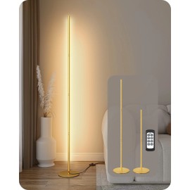 DEWENWILS EDISHINE LED Standing Floor Lamp, Dimmable Corner Floor Lamp with Remote, Gold