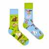 Spox Sox Casual Unisex Funny Crazy Colourful Socks for Men