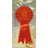 CONFIRMATION - Symbolic Rosette