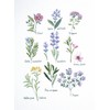 DMC Herbs - Cross Stitch Kit