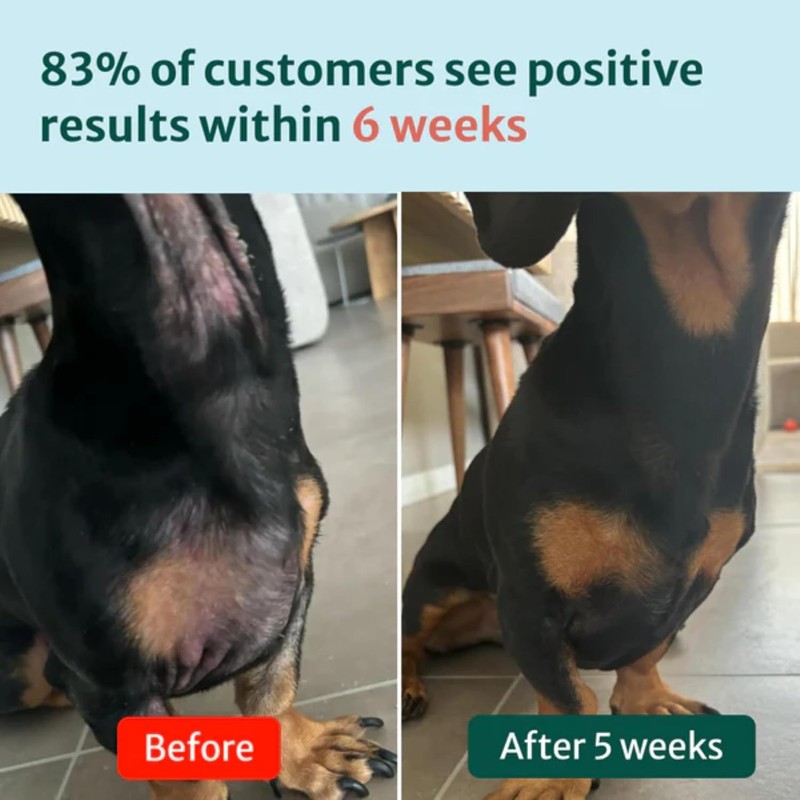 DogSuppy DogSuppy Itch Relief Probiotics For Dogs - Stop Itching,