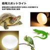 ShiawaseforU Reptile Light, UVA, Daytime Spotlamp, Amphibian Lighting, Natural Sunlight,