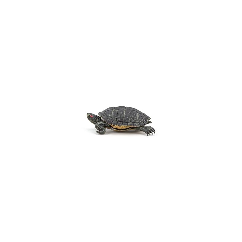 PAPO - Realistic Florida Turtle Figure - Ages 3+ -