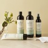 Sukin Natural Balance Scalp Scrub 200ml / 수킨 내추럴 밸런스