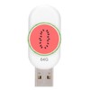 USB Flash Drive Innovative Watermelon Shape Portable Durable Stable Moistureproof