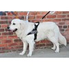 DT Universal No Pull Dog Harness, Working Dog Do Not