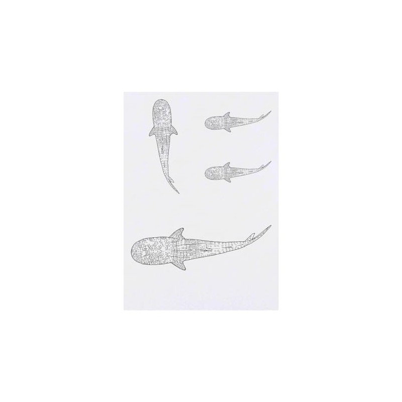 4 x 'Whale Shark' Temporary Tattoos - Water Resistant, Skin-Safe,