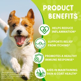 Yeast Infection Treatment for Dogs - Dietary Supplement with Herbal Blend to Soothe Itching & Promote Skin Health - Bacon Flavor Liquid Supplement for All Breeds, 2 fl oz