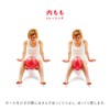 Sakurai Boeki #54147 Erugam Fitness Ball, Abdominal Muscle Tama