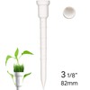 Lignum 82MM ECOLINE TEES 12PK