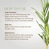Mielle Rosemary Mint Scalp & Hair Oil 2oz, clear