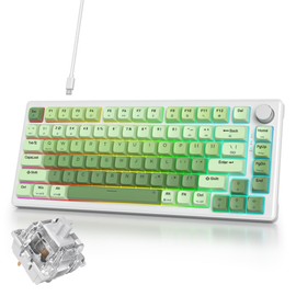 iRoboosta 75% Creamy Mechanical Keyboard Green, Hot Swap RGB Gaming Key Board with Knob, Gasket Mount Wired TKL Keyboard 75 Percent, Pre-lubed White Switch Creamy Sounding Keyboards (82 Matcha)