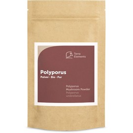Terra Elements Bio Polyporus Pulver 100 g I Zhu Ling I Eichhase I 100% rein I Vegan I Rohkost