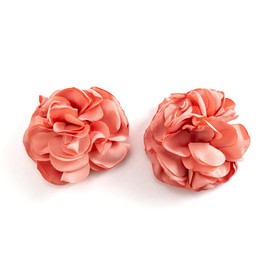 Rannyrena Handmade Flower Shoes Clip 2pcs Bridal Wedding Shoe Buckles Clips Decorative Shoe Accessories Rose Flower Brooches for Women (Pink)