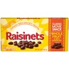 Raisinets, Milk Chocolate Covered California Raisins, Movie Theater Candy Box,