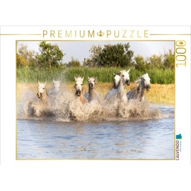 CALVENDO Puzzle Cooling in The Swamp | 1000 Pieces Size 25" x 19"