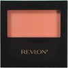 revlon matte powder brush 106