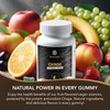 Belmonia Chaga Mushroom Gummies - Antioxidant Immune Support Supplement -