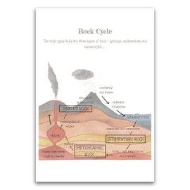 The Rock Cycle Poster - Classroom Therapy Educational School Kid Poster - 12 x 18 Inch Unframed Poster - Premium Poster On 100lb Gloss Paper - Printed In The USA FHJP1646