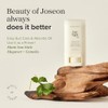 Beauty Of Joseon - Barra Solar Mate: Artemisa + Camilia