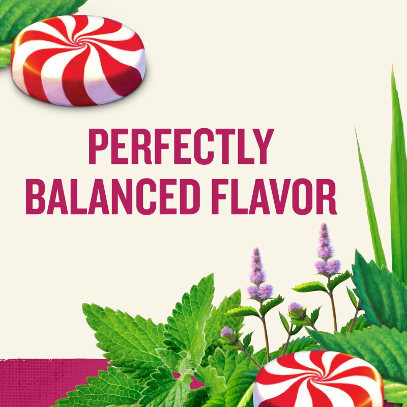 Celestial Seasonings 25 Count Pure Peppermint Tea Leaves Caffeine Free