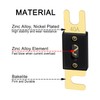 Heschen ANL Fuse ANL-40 40 Amp for Car Vehicles Audio