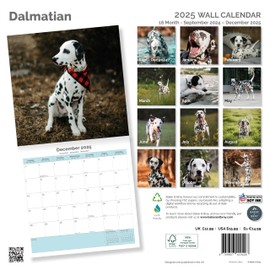 Baker and Bray Dalmatian Calendar 2025, Large Square Wall Calendar, 16 Month, Dalmation Gift Dog Calendar.