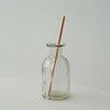 Notdam Antibacterial Copper Straw 2P + Cleaning Brush / 놋담