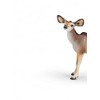Schleich Kudu Calf