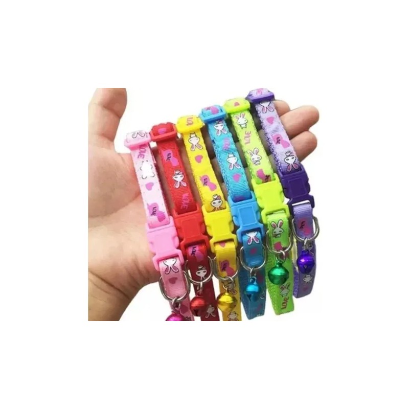 Collar Perros Y Gatos Ajustable Raza Pequeña Kit 6 Piezas