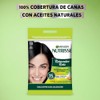 Kit Garnier Nutrisse Retocador de Raíz 1.0 Negro Intenso, Pack