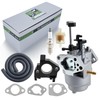 partszen D262839 Carburetor Kit Fit for Ryobi RY905500 RY905500E RY906300LP