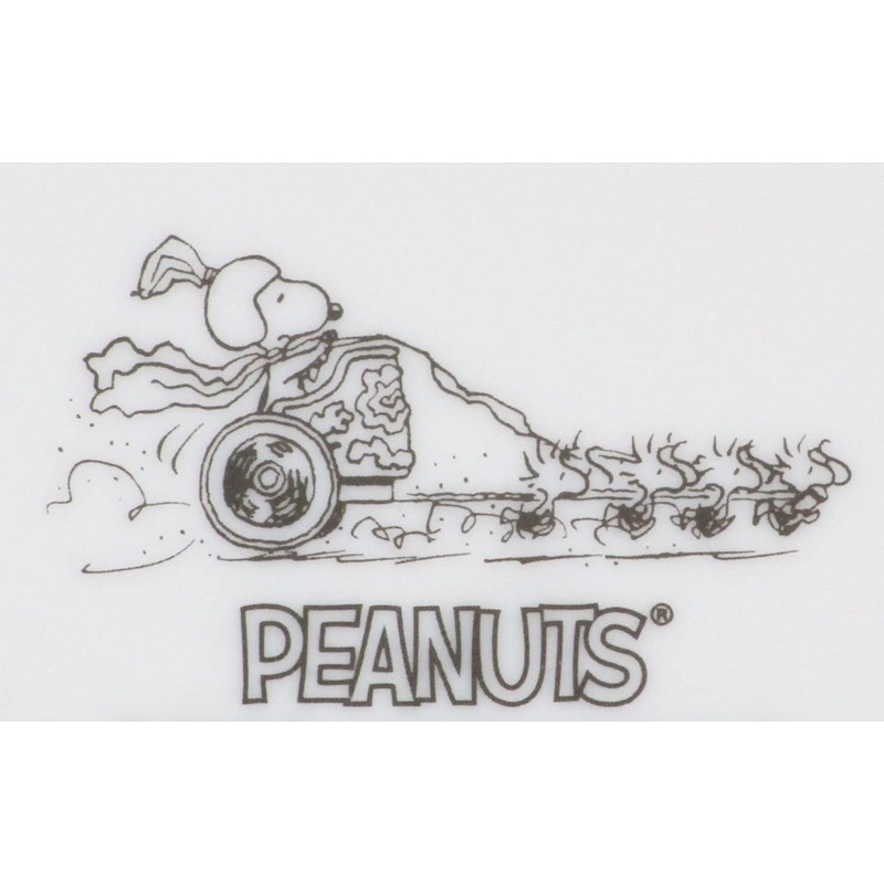 Snoopy Oval Plate Italian & Greek 2 Pattern Plate 3870066