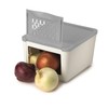 SNIPS Onion Keeper,2 KG,22x19x1 cm, Food Storage Container For Onion,