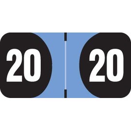 Doctor Stuff - 2020 Chart Stickers, Light Blue/Black, Arden Compatible Series Labels, 3/4" x 1-1/2", 1 Roll, 500/Roll