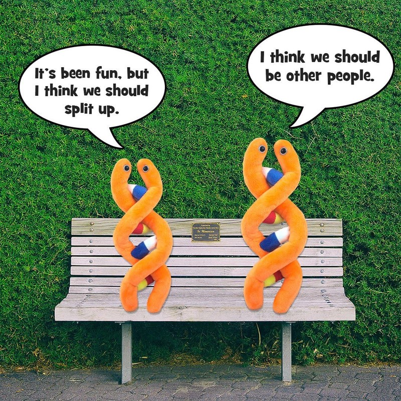 GIANTMicrobes - DNA (Deoxyribonucleic acid) Educational Plush