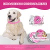 4 Pieza Collar con Hebilla, 65CM/26.6in (Rosa)
