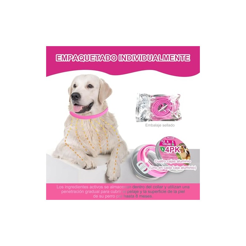 4 Pieza Collar con Hebilla, 65CM/26.6in (Rosa)