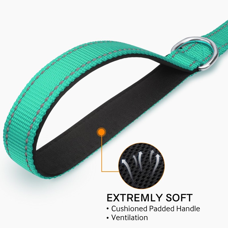 Joytale Dog Leash, 6 FT Double-Sided Reflective, Padded Handle Nylon