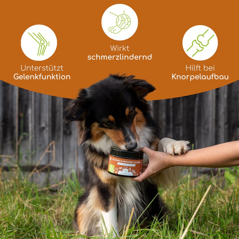 Wolfsbacher Joint Tablets for Dogs as Snack | Joints &