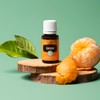 Young Living Aceite esencial de mandarina – 15 ml