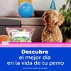 Ziploc Bolsas Reutilizables Medianas Para Organizar, Slider, 15 Piezas