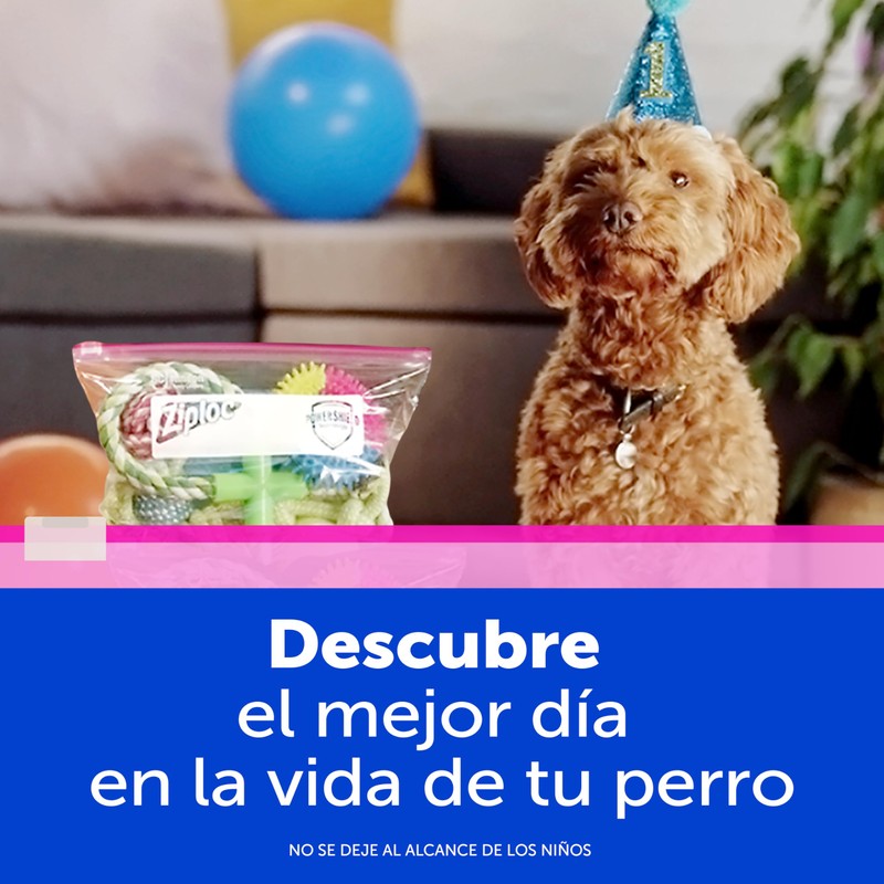 Ziploc Bolsas Reutilizables Medianas Para Organizar, Slider, 15 Piezas