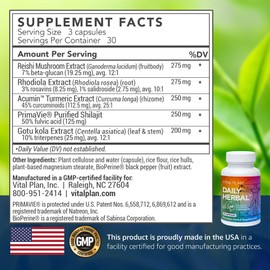 Vital Plan Daily Herbal Supplement by Dr. Bill Rawls – Herbal Immunity Booster for Immune Support, Microbiome Balance & Cell Health — Reishi Mushroom, Turmeric & Rhodiola