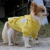 LOPHIPETS Dog Cotton Hoodies Sweatshirts for Small Dogs Chihuahua Puppy