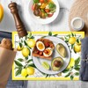 Lemon Summer Set of 6 Place Mats, 30 x 45