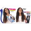 FreeTress Crochet Braids 3X Bona Loc 18" (T27)