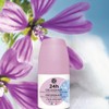 Yves Rocher Roll-on Deodorant 24 Hours Protection Cotton and Mallow